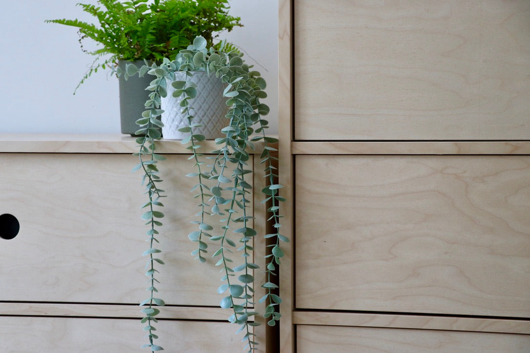 Birch Plywood Bedroom Furniture Details